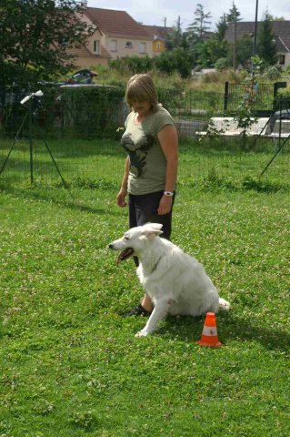 obeissance 2014-08-02